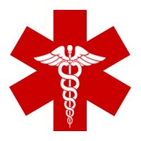 Medische Cannabis Zaden