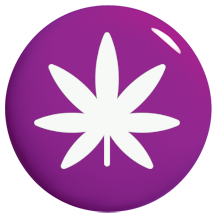 Purple Wietzaden