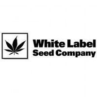 White Label Seeds