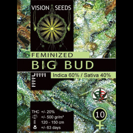 Big Bud Feminized Cannabis Seeds