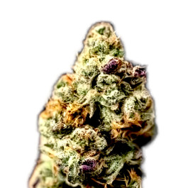 Blackberry Moonrock