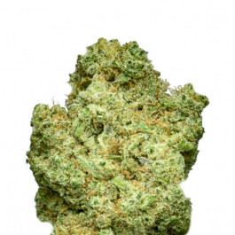 Bruce Banner XL