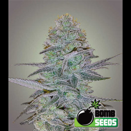 Cosmic Bomb auto