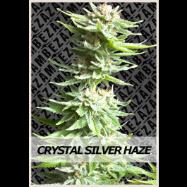 Crystal Silver Haze