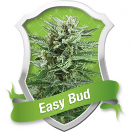 Easy Bud