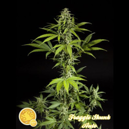 Fraggle Skunk Auto