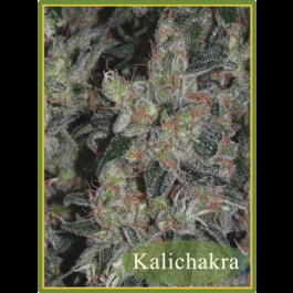 Kalichakra