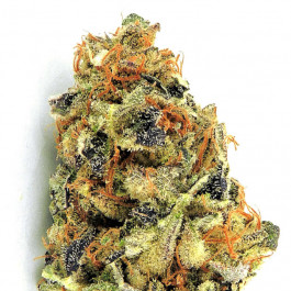 KO Kush