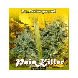 Pankiller