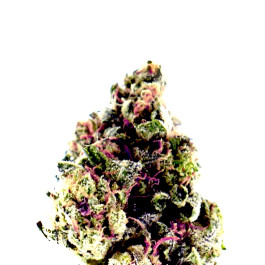 PURPLE OG KUSH