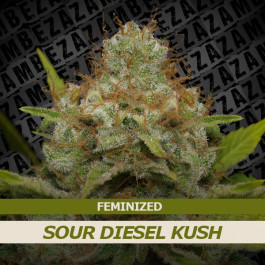 sour-diesel_kush