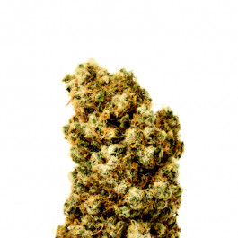 Super Silver Haze