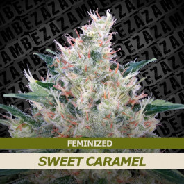 Sweet Caramel
