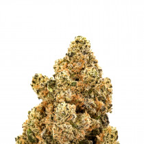 Afghan Kush