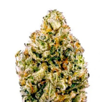AK47