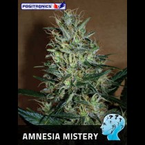 Amnesia Mistery