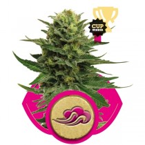 Blue Mystic