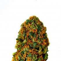 BubbleGum