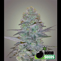 Cosmic Bomb auto
