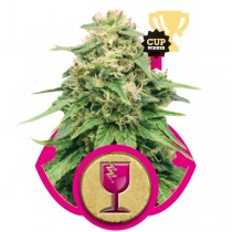Critical Strain & Review