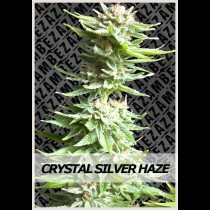 Crystal Silver Haze