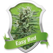 Easy Bud