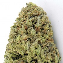Fast Vast HeavyWeight Seeds