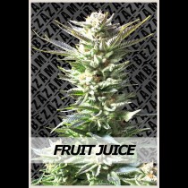 Fruit Juice Strain Review