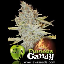 Furious Candy