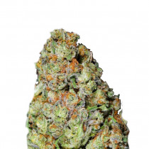 Juanita Fatbush Seeds