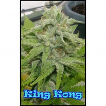 King Kong