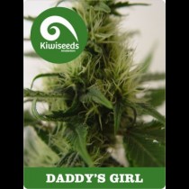 Daddys Girl Kiwi Seeds