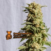 La Blanca Kannabia