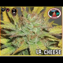 la cheese cannabis strain