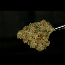 MK Ultra