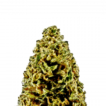 Northern Lights Auto