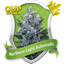 Northern Light Automatic