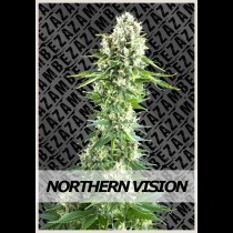 Northern Vision | Zambeza Seeds