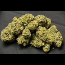 Og Kush bulk seeds
