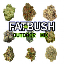 Outdoor Feminized Mix by Fatbush Seeds