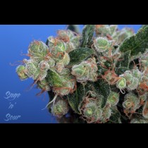 Sage N Sour