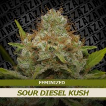 sour-diesel_kush