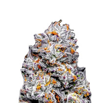 Sunset Sherbet