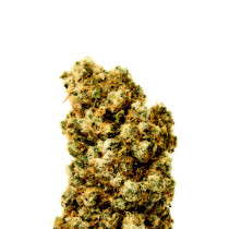 Super Silver Haze
