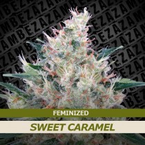 Sweet Caramel