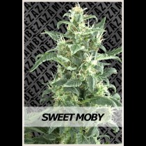 Sweet Moby