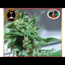 The Kali 