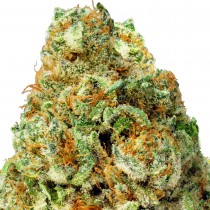 Turbo-Bud