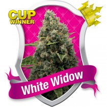 White Widow 