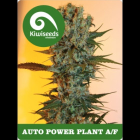 Auto Power Plant
